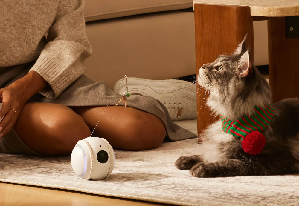 best home security camera for pets