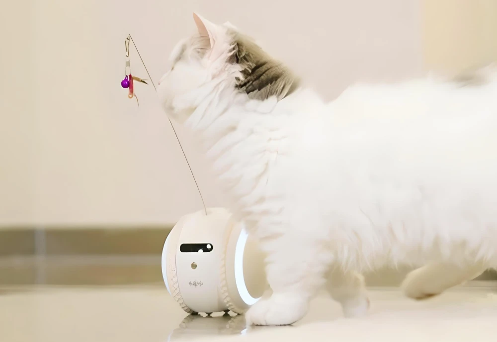 camera to see pets at home
