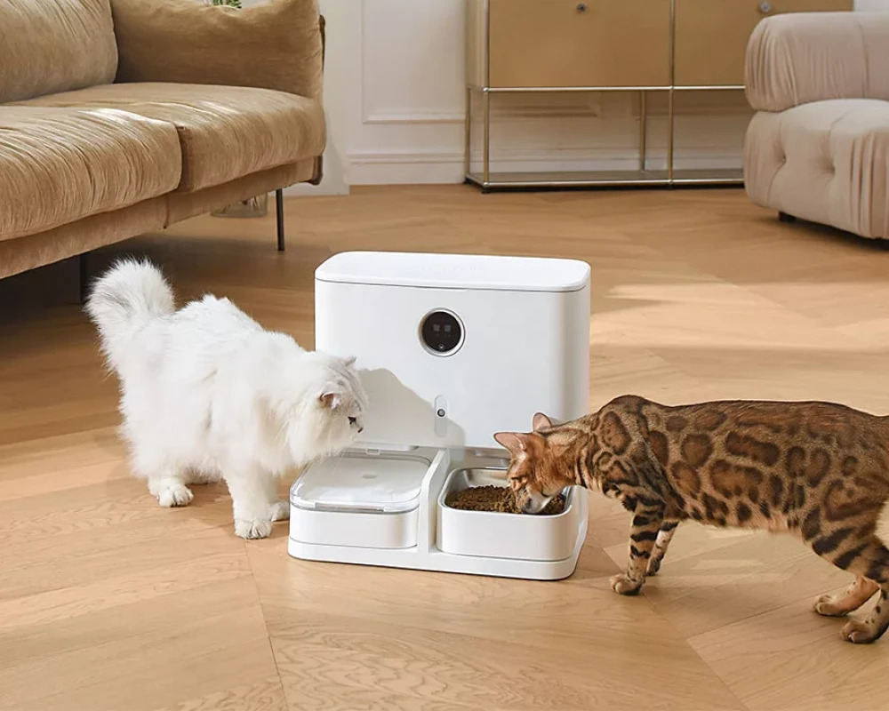 automatic dry food pet feeder